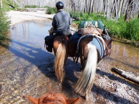  The trail for stock to a deture to avoid a mud bog